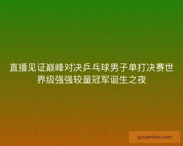 直播见证巅峰对决乒乓球男子单打决赛世界级强强较量冠军诞生之夜