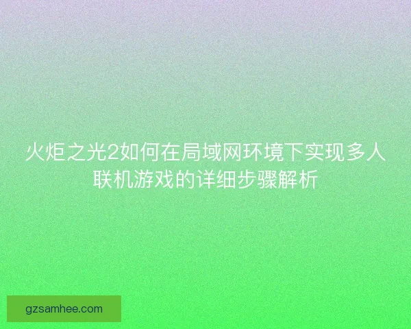 火炬之光2如何在局域网环境下实现多人联机游戏的详细步骤解析