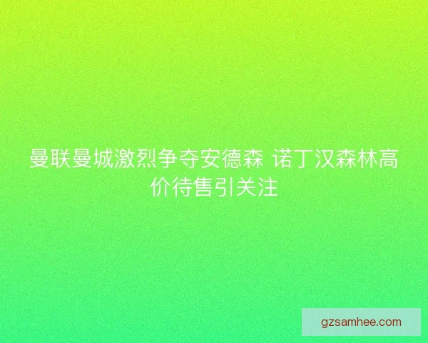 曼联曼城激烈争夺安德森 诺丁汉森林高价待售引关注