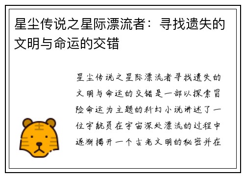 星尘传说之星际漂流者：寻找遗失的文明与命运的交错
